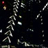 Only One EP - by uah